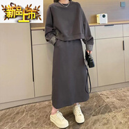 初徑慵懶風(fēng)時(shí)尚洋氣衛(wèi)衣連體裙套裝女2025春秋新款大尺碼胖美眉減齡半 灰色 L (建議110斤以內(nèi))