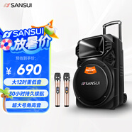 山水（SANSUI）戶外k歌專用拉桿音響廣場舞智能音箱專業(yè)設(shè)備移動便攜式藍(lán)牙播放器SS6-12電木吉他民謠樂器音箱