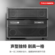 萬(wàn)利達（Malata）M+9580戶(hù)外路演彈唱音響大功率無(wú)線(xiàn)OTG直播便攜式手提音響