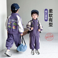 Balapipi男童秋裝套裝2025新款少爺衛(wèi)衣運動秋季洋氣衣服帥氣小孩衣服童裝 深紫色（兩件套） 110