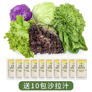 綠食者 新鮮蔬菜沙拉組合4斤 西餐色拉沙拉生菜輕食健身食材配菜 4斤【有沙拉醬】