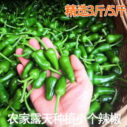 新鮮小土辣椒薄皮辣椒湖北農(nóng)家露天青椒子彈頭精選裝小個辣椒 3斤