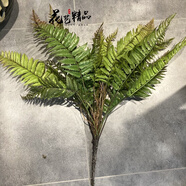 高品質(zhì)手感大蕨葉蕨草仿真綠植壁掛 多尺寸選擇 田園風(fēng)格 室內外 大高61cm展寬60cm