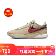 耐克（NIKE）男鞋夏款LeBron 20秋款減震耐磨籃球鞋 DV9089-200 40.5