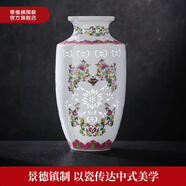 景德鎮(zhèn)官方陶瓷家用玲瓏花瓶高級感客廳辦公高檔創(chuàng)意擺件插花裝飾品瓷器 蝙蝠壽桃瓶