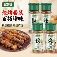 特瑞肯（TRICON）玻璃瓶孜然粉辣椒粉椒鹽粉燒烤料4瓶組合122g燒烤火鍋烤串調味品