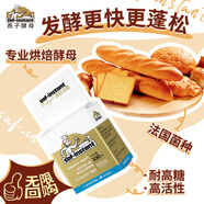 燕子（SAF INSTANT）烘焙原料 高活性即發(fā)酵母粉100g 耐高糖
