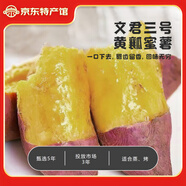 遼西文君【遼寧特產(chǎn)】葫蘆島市甘薯紅薯蜜薯烤地瓜糖心綠色食品廠(chǎng)家直郵 遼西文君3號4.5斤適合烤、蒸黃瓤