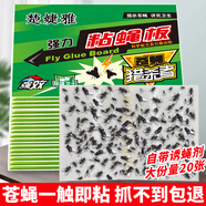 楚婕雅蒼蠅貼強(qiáng)力粘蠅紙驅(qū)趕神器家用滅蚊蠅粘蟲板強(qiáng)力誘捕器粘蠅板20張