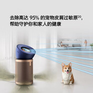 戴森（DYSON）Dyson空氣凈化器BP04 BP06家用除甲醛除菌空氣凈化機(jī)風(fēng)扇 BP04藍(lán)金色