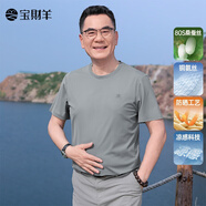 寶財羊爸爸夏裝圓領(lǐng)桑蠶絲短袖T恤男涼感防曬polo中老年人父親上衣 灰色 S (165)