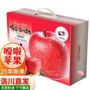 洛川蘋(píng)果陜西嘎啦蘋(píng)果2025年頭茬新果新鮮采摘現摘現發(fā)新鮮蘋(píng)果水果 20枚75mm禮盒裝