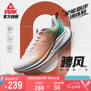 匹克態(tài)極騁風1.0跑步鞋男鞋輕便減震透氣中考體測運動鞋子男DH410037