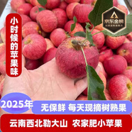 辰朵正宗云南西北勒小蘋果丑蘋果石頭縫小蘋果現(xiàn)摘現(xiàn)發(fā) 9斤 60-65mm
