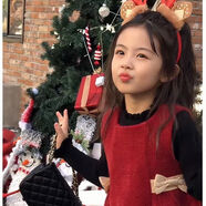 女童連衣裙套裝秋冬新款2025公主風(fēng)毛呢紅色裙子洋氣小女孩拜年服 蝴蝶結(jié)無袖連衣裙 100  碼 建議身高90cm