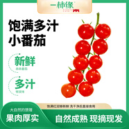 京鮮生＆一柿緣 串收櫻桃小番茄 凈重2斤禮盒 水果西紅柿 源頭直發(fā)