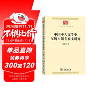 中國中古文學(xué)史 漢魏六朝專家文研究（中華現(xiàn)代學(xué)術(shù)名著1）