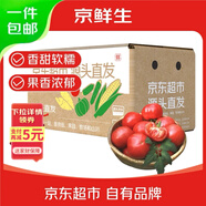 京鮮生 山東普羅旺斯西紅柿 凈重3斤  單果90g+ 沙瓢番茄 源頭直發(fā)