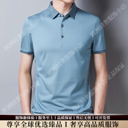 VERSINOTRSV品牌男士短袖男夏季翻領(lǐng)桑蠶絲商務(wù)休閑薄款半袖polo衫男裝 水藍色 S