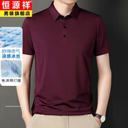 恒源祥高端短袖T恤男士寬松冰絲上衣服男裝休閑涼感polo衫2025夏季衛(wèi)衣 SB-WL2310酒紅 XL 175 推薦135-150斤