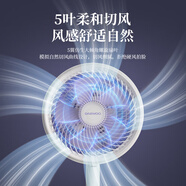 大宇（DAEWOO）空氣循環(huán)扇家用電風扇落地扇臺立式兩用搖頭大風力輕音出租屋 [三檔風速直吹不頭疼]F45