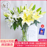 悅多彩AB級(jí)優(yōu)質(zhì)香水百合 家庭辦公室各色生活鮮花 昆明基地 現(xiàn)采直發(fā) 百合組合40朵（白色/黃色各20朵）