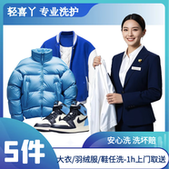 衣鞋5件任洗｜5件冬裝羽絨服/大衣/鞋任洗 干洗水洗熨燙消毒 順豐1h上門取送 輕喜丫 京東洗衣店 次日8-10點上門