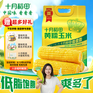 十月稻田 黃糯玉米 3.52斤(220g*8根) 東北甜黏玉米棒 早餐苞米 真空包裝