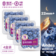 佳沃 JOYVIO 秘魯進(jìn)口藍(lán)莓巨無(wú)霸4盒裝22mm+ 125g/盒 新鮮水果