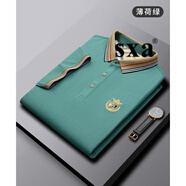 SXA香港潮牌棉質(zhì)短袖POLO衫男裝夏季t恤新款刺繡商務(wù)休閑格子青年上 薄荷綠 XL