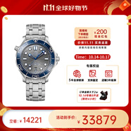 歐米茄（OMEGA） 瑞表海馬系列天文認證機械300米潛水男表42mm【11.11提前購】 鋼帶灰盤210.30.42.20.06.001