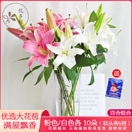 悅多彩AB級(jí)優(yōu)質(zhì)香水百合 家庭辦公室各色生活鮮花 昆明基地 現(xiàn)采直發(fā) 百合組合20朵（粉色/白色各10朵）