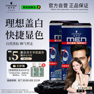 施華蔻（Schwarzkopf）男士染發(fā)霜2.0自然黑雙盒裝 染發(fā)劑染發(fā)膏男士專用蓋白發(fā)一洗黑