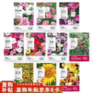 壽禾 花種子苗太陽(yáng)花格?；ㄏ蛉湛P仙花四季花海組合 10種花種子套餐
