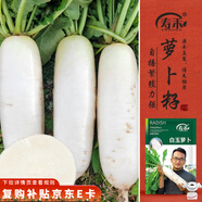壽禾 白蘿卜種子種苗秋季種植南北方蔬菜種籽 濰育白玉蘿卜種子10g