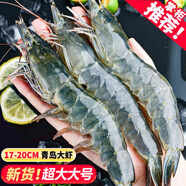 蝦有蝦途國產(chǎn)青島大蝦白蝦青蝦基圍蝦鮮蝦冷凍生鮮蝦類鮮活特大海捕整箱裝 17-20厘米超大號 3.6斤(凈重)