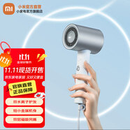 米家小米電吹風(fēng)機(jī)H500 水離子護(hù)發(fā)速干電吹風(fēng)家用便攜吹風(fēng)筒 磁吸風(fēng)嘴大風(fēng)量智能溫控吹發(fā)器節(jié)日禮物 雙水離子款 H500