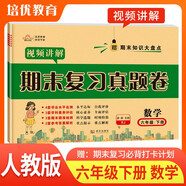 2025春 期末復(fù)習(xí)真題卷六年級(jí)數(shù)學(xué)下冊(cè)人教版 培優(yōu)好卷單元期末卷 小學(xué)同步試卷下冊(cè)期末總復(fù)習(xí)名師教你沖刺100分卷情境真題卷真題圈單元達(dá)標(biāo)期中期末總復(fù)習(xí)必刷題必刷卷