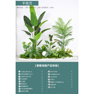 塑料仿真花類(lèi)田園風(fēng)格綠植仿真綠植盆栽室內(nèi)盆景裝飾 餐廳場(chǎng)景綠 千而萬(wàn)_套