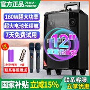 萬利達（Malata）M+9017廣場舞音響大功率戶外移動音箱雷神L12拉桿音響便攜式低音炮無線藍牙充電家用 L12【M+9017】12吋低音+雙話筒 拉桿式