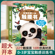 寶寶的第一本觸摸書 0-2歲兒童早教繪本觸感嬰兒書感官刺激那么大地板書1歲撕不爛立體兒童讀物2-3歲啟蒙看圖認(rèn)知學(xué)習(xí)益智翻翻書幼兒童禮物 【超大地板書】寶寶的第一本觸摸書