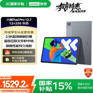 聯(lián)想小新PadPro12.7 2025款平板電腦 國(guó)家補(bǔ)貼15% 2.9K高刷全面屏 娛樂學(xué)習(xí) 10200mAh 12+256G大象灰