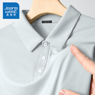 真維斯（Jeanswest）Polo領(lǐng)短袖男夏季韓版潮流圖案半截袖青少年男生寬松大碼速干體恤 淺灰(純色) 2XL 185(建議160斤-180斤左右)