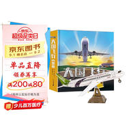大國飛行C919（送手工飛機模型）立體書3D翻翻書 中國商用飛機大型民用客機 嬰幼兒童科普百科機關書
