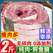 柒島鱷魚肉鱷魚尾鱷魚腿肉鱷魚腩肉鱷掌肉帶皮鱷魚生鮮肉食材凈重 2斤【頂配】鱷魚肉