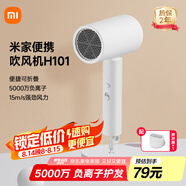 米家小米電吹風(fēng) 吹風(fēng)機 負離子護發(fā)可折疊 大風(fēng)力速干 H101 白色 CMJ04LXW 國家補貼 便攜出游七夕禮物
