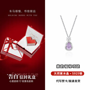 奧斯坦汀S925銀天然紫水晶項鏈女葫蘆吊墜款輕奢情人節(jié)生日禮物送女友老婆 紫韻福祿項鏈-告白禮盒/免費刻字 單條【贈鑒定證書】