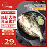 釣魚記 斑點叉尾鮰魚1斤-1.3斤 二去凈重 冷凍 烤魚紅燒烤生鮮 魚類海鮮