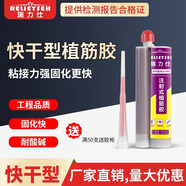 瑞力仕（RELIEYSEX）注射式植筋膠鋼筋混凝土專(zhuān)用建筑粘鋼膠環(huán)氧錨固劑加固膠水 360ml高強快干型注射式植筋膠
