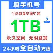 【官方充值】115網(wǎng)盤空間擴(kuò)容卡 1TB空間 1T空間卡 可無限疊加充值 非會員也可以充值秒充